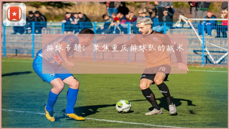 排球专题：聚焦重庆排球队的战术