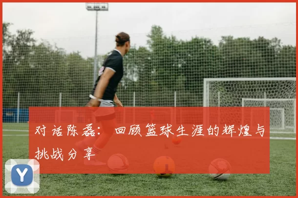 对话陈磊：回顾篮球生涯的辉煌与挑战分享