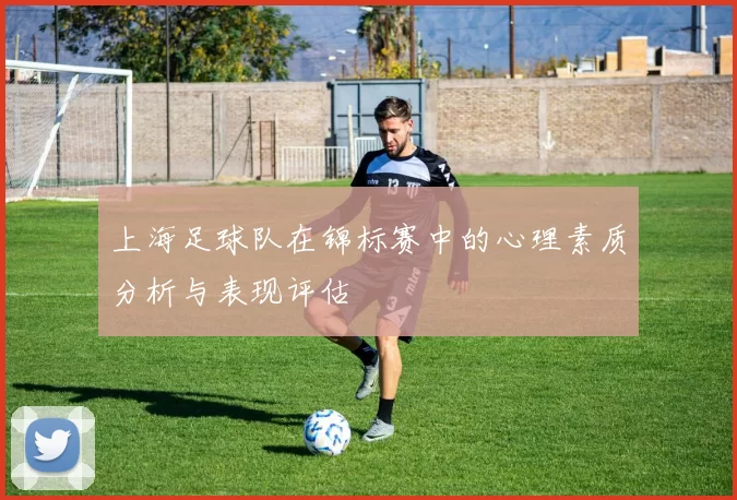 上海足球队在锦标赛中的心理素质分析与表现评估