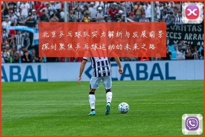 北京乒乓球队实力解析与发展前景探讨聚焦乒乓球运动的未来之路